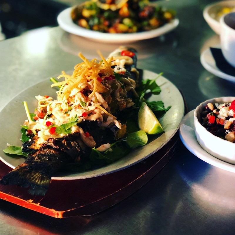 feast fresh fish over seasonal greens