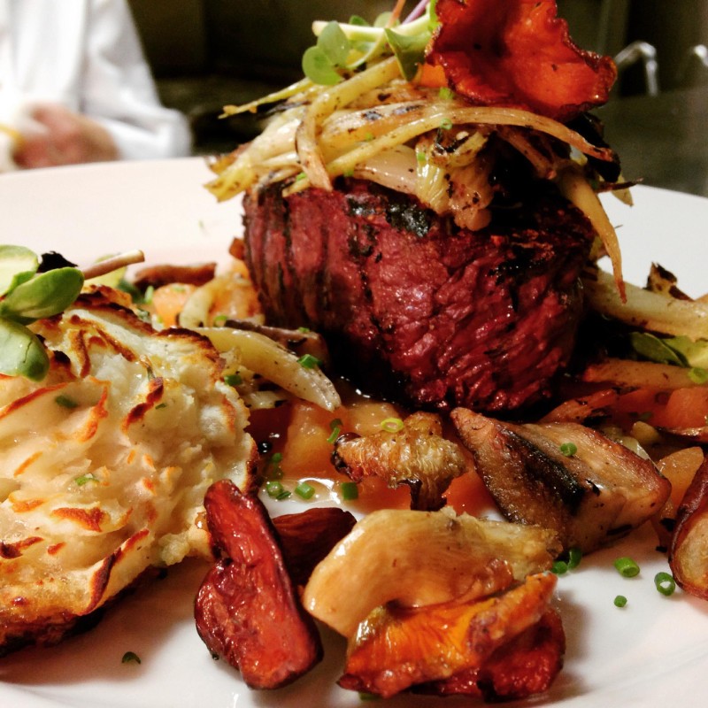 elk tenderloin