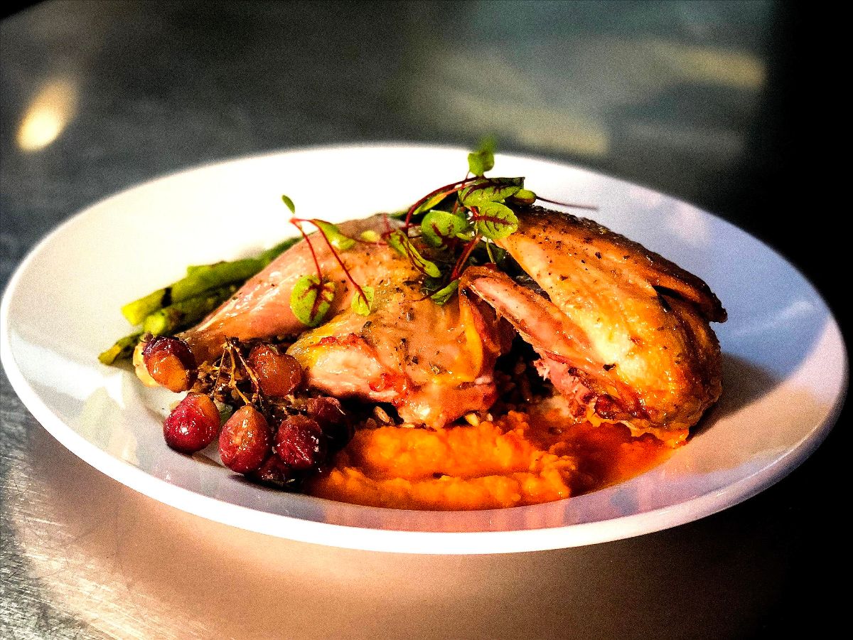 pheasant