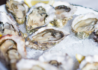 fresh raw oysters over ice
