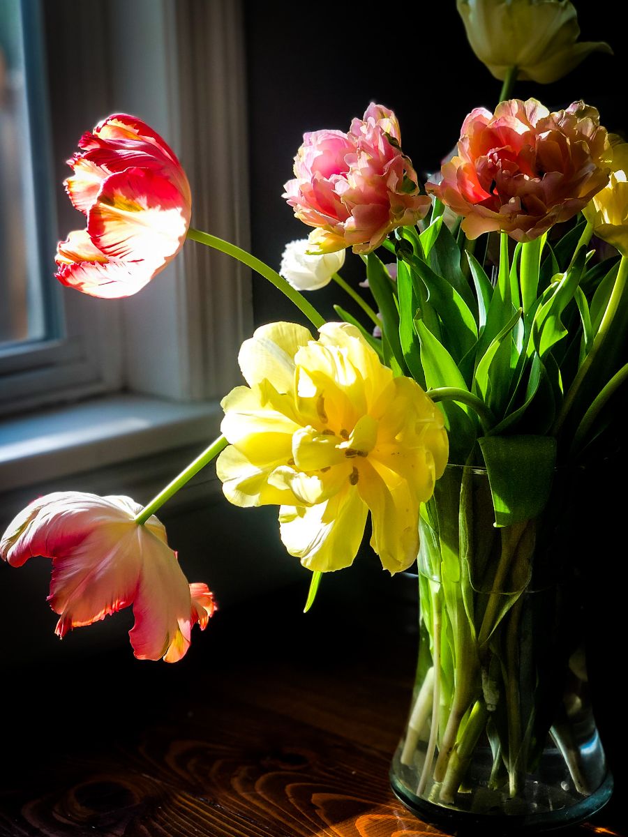 Flowers for Mother's Day Wine Pairing Menu