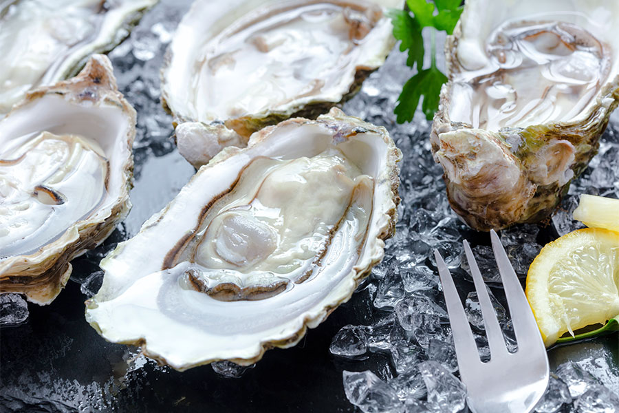 Feast-Bozeman-Chefs-Tips-for-Relishing-Oyster-Experience Feast Bozeman Relishing Oyster Experience